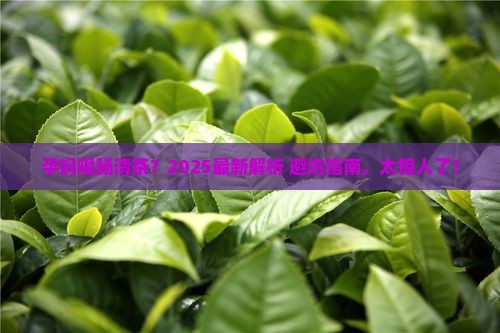 孕妇可以喝肠清茶吗