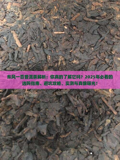 东风一百普洱茶
