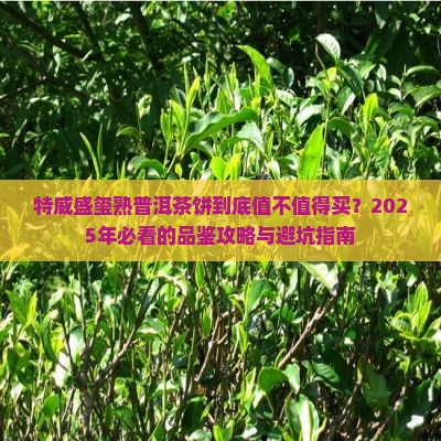 特威盛玺熟普洱茶饼
