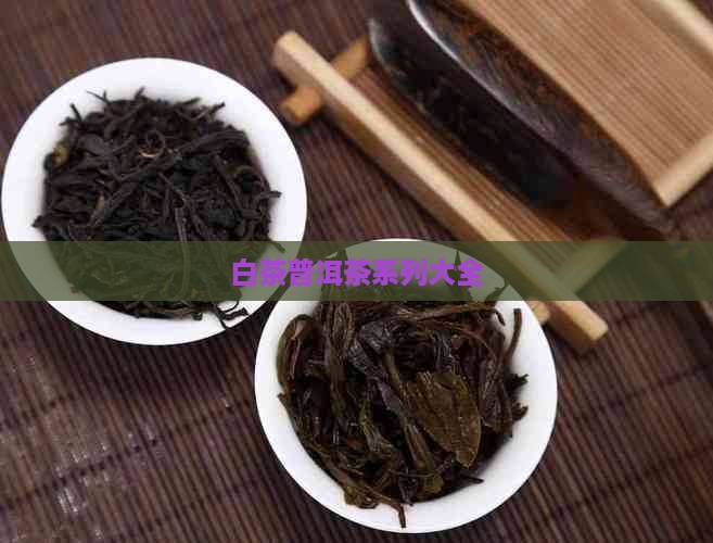 白茶普洱茶系列大全
