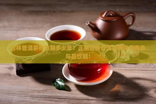 吉林普洱茶有效期多少年