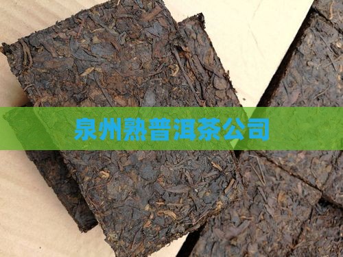 泉州熟普洱茶公司
