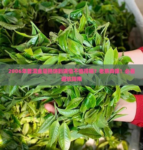 普洱金毫熟饼2006年