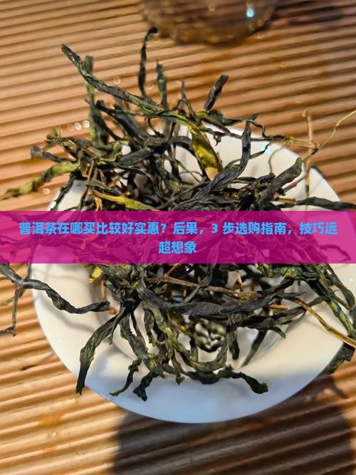 普洱茶在哪买比较好实惠