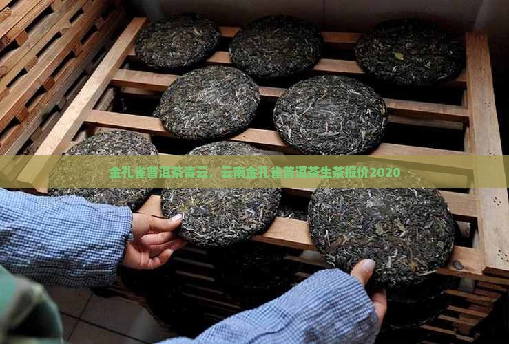金孔雀普洱茶青云