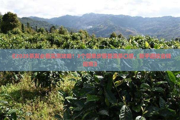 简单形容普洱茶口感