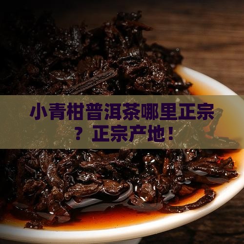 小青柑普洱茶哪里正宗