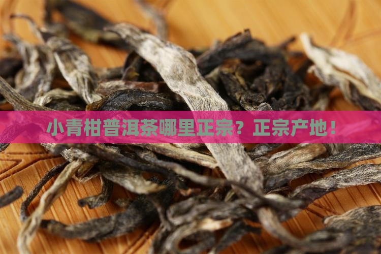 小青柑普洱茶哪里正宗