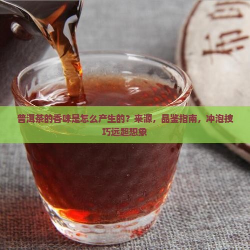普洱茶的香味是怎么产生的