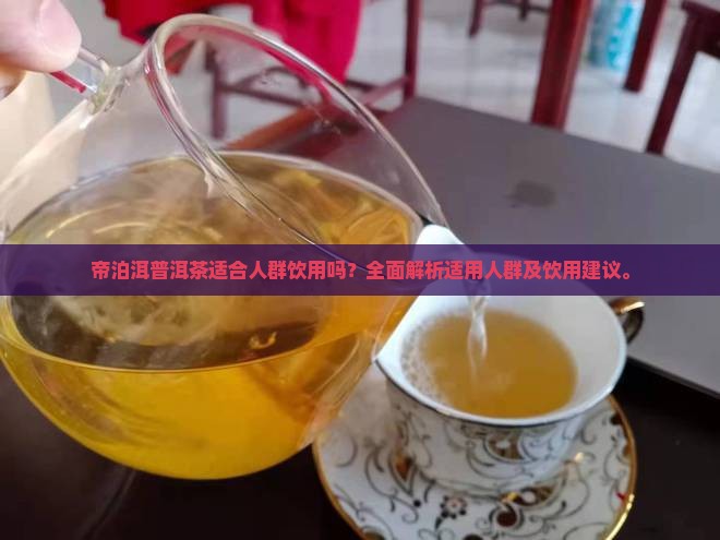 帝泊洱普洱茶适合人群饮用吗