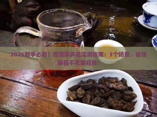 普洱茶能养花吗