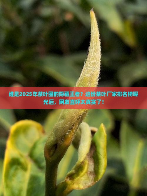 茶叶厂家排名榜