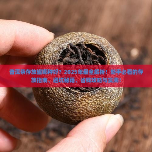 普洱茶存放罐哪种好