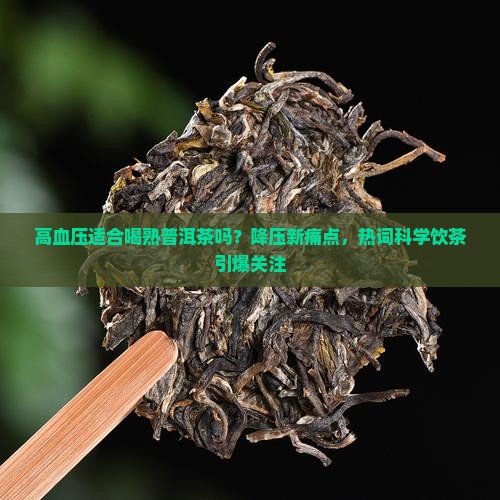 高血压适合喝熟普洱茶吗