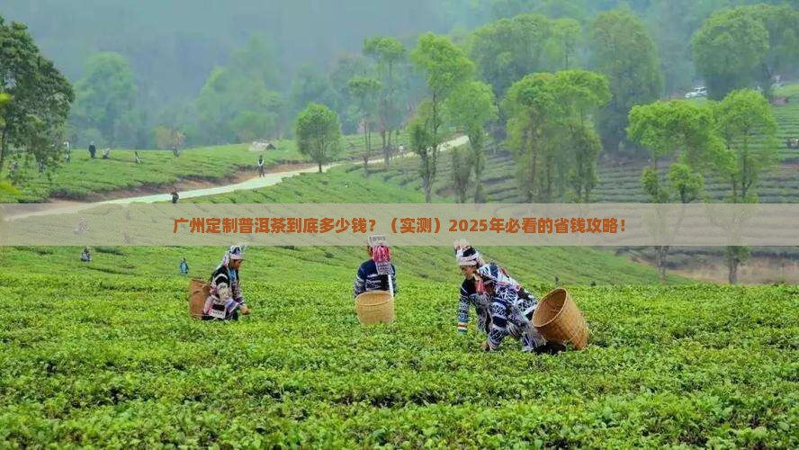 广州定制款普洱茶价格