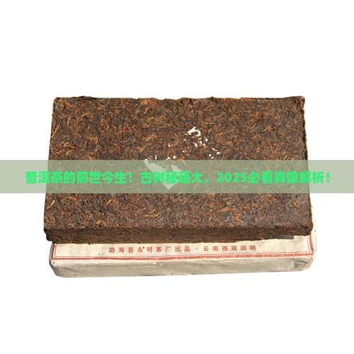 普洱茶的起源和历史古树 普洱茶的起源和历史古树