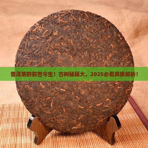 普洱茶的起源和历史古树 普洱茶的起源和历史古树