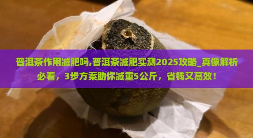 普洱茶作用减肥吗