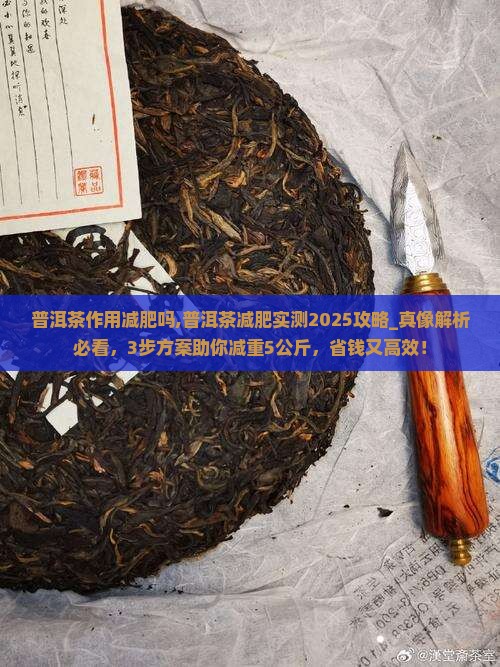 普洱茶作用减肥吗