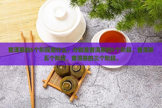 普洱茶的5个阶段