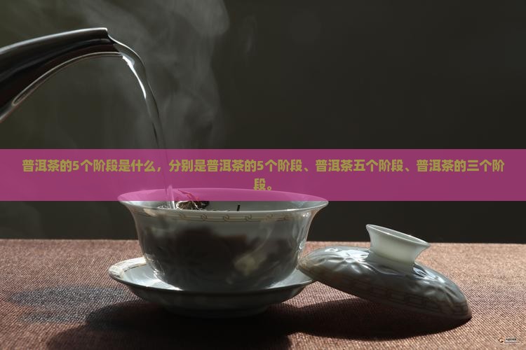普洱茶的5个阶段