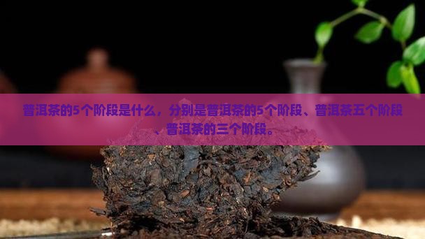 普洱茶的5个阶段
