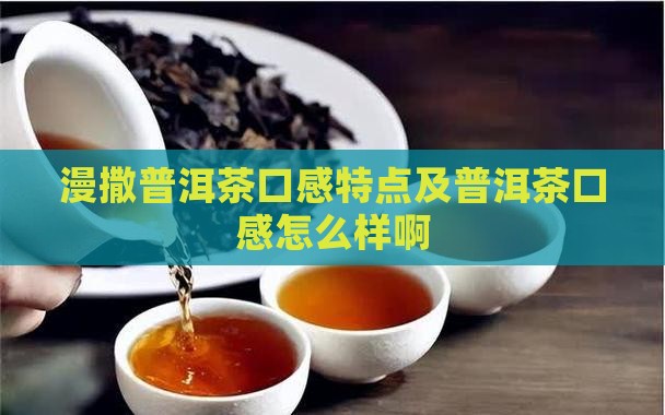 漫撒普洱茶口感怎么样啊