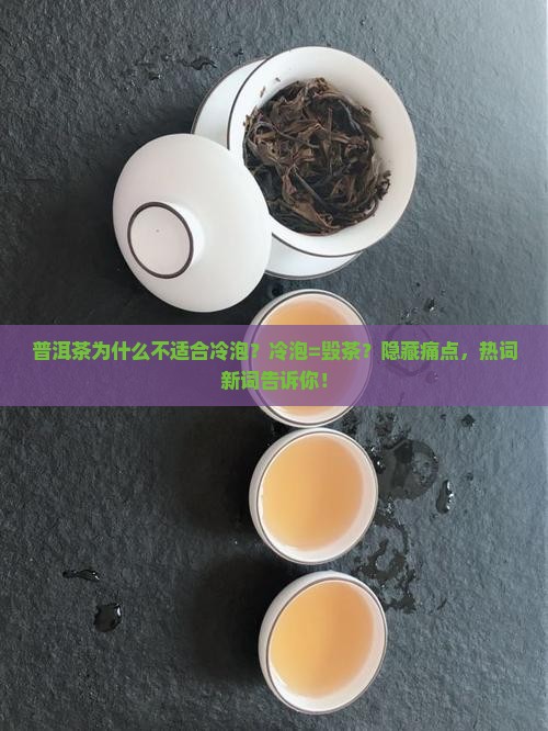 普洱茶为什么不适合冷泡