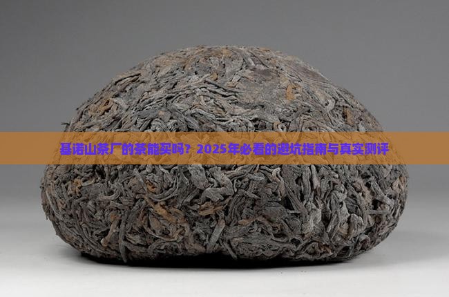 基诺山茶厂的茶能买吗