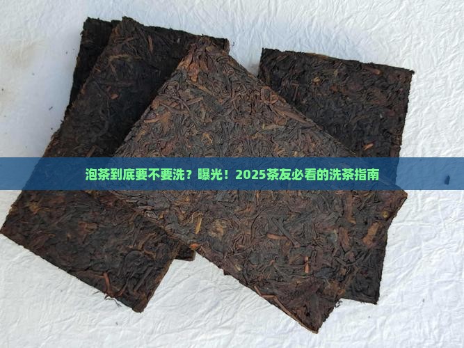 泡茶需不需要洗茶
