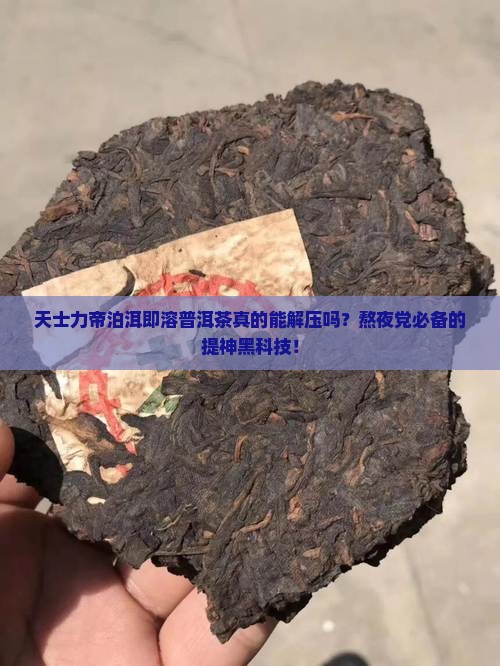 天士力帝泊洱即溶普洱茶