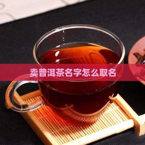 卖普洱茶名字怎么取名