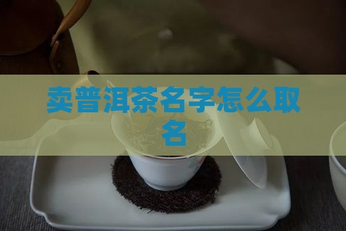 卖普洱茶名字怎么取名