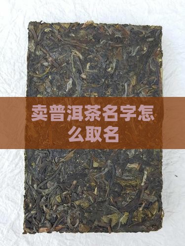 卖普洱茶名字怎么取名