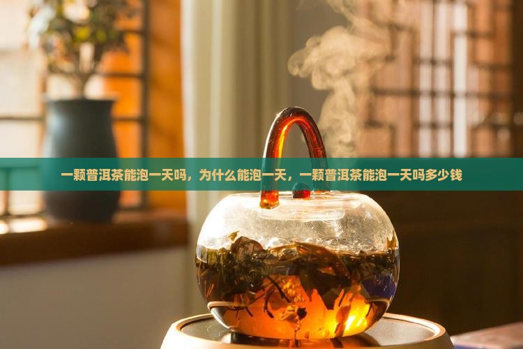 一颗普洱茶能泡一天吗