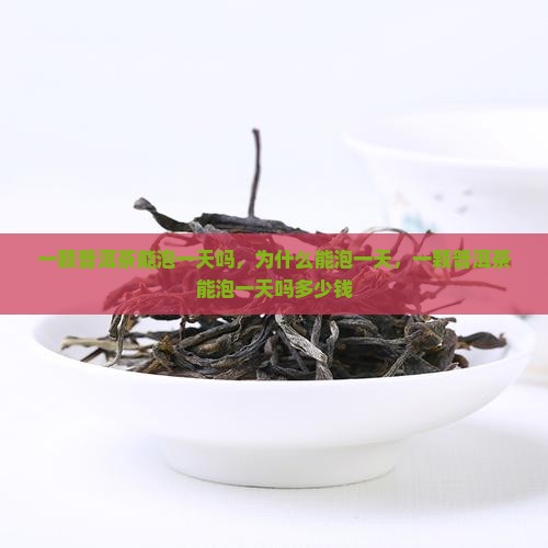 一颗普洱茶能泡一天吗