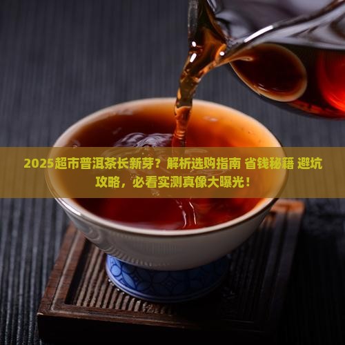 超市普洱茶长新芽