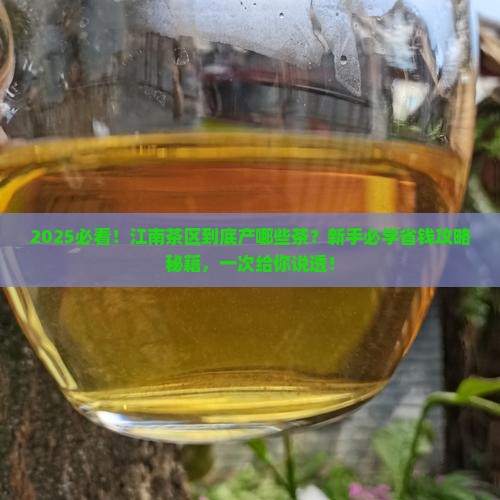 江南茶区主要盛产什么茶