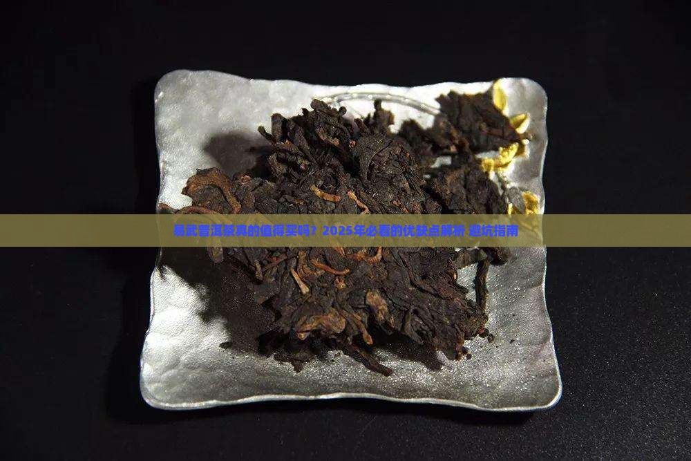 易武普洱茶优缺点有哪些