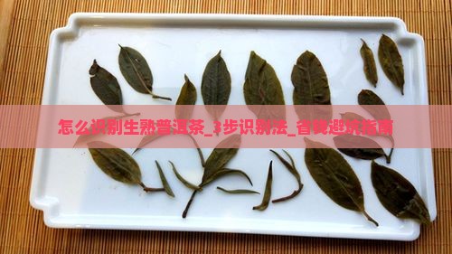 怎么识别生熟普洱茶