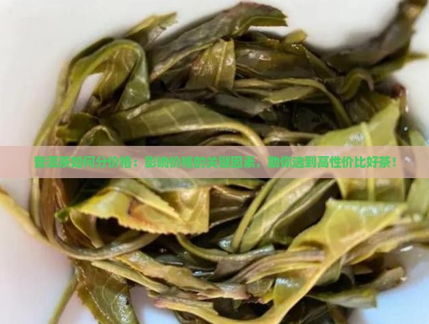 普洱茶如何分价格