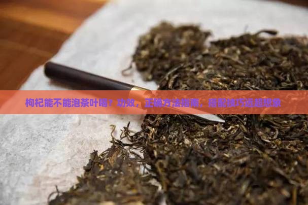 枸杞能不能泡茶叶喝