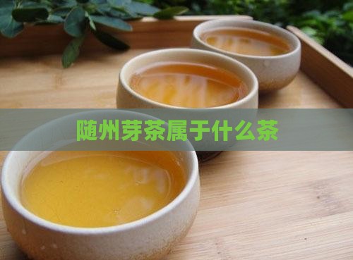 随州芽茶属于什么茶