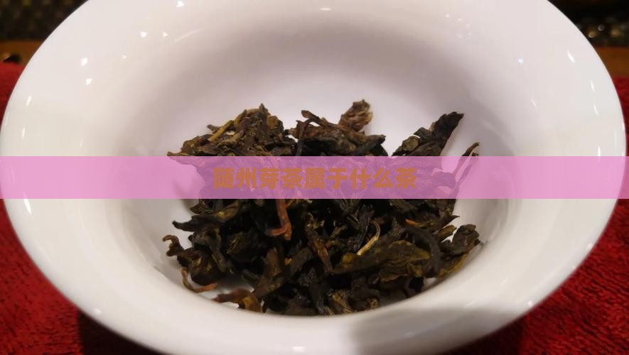 随州芽茶属于什么茶