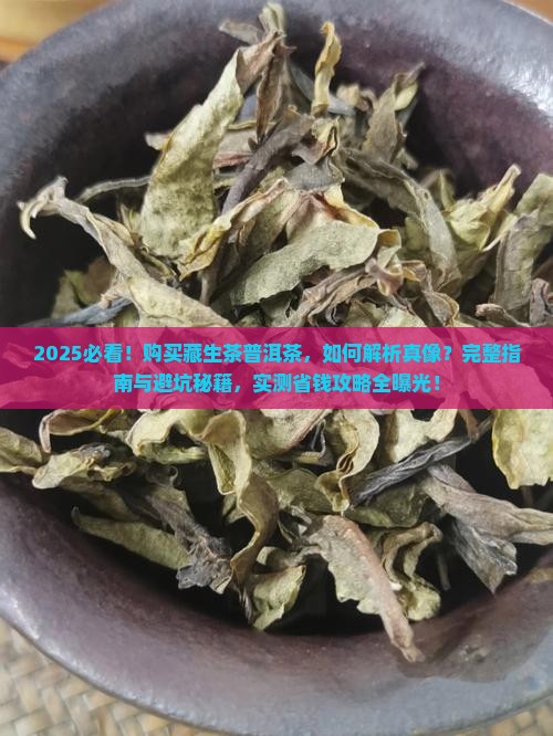购买藏生茶普洱茶