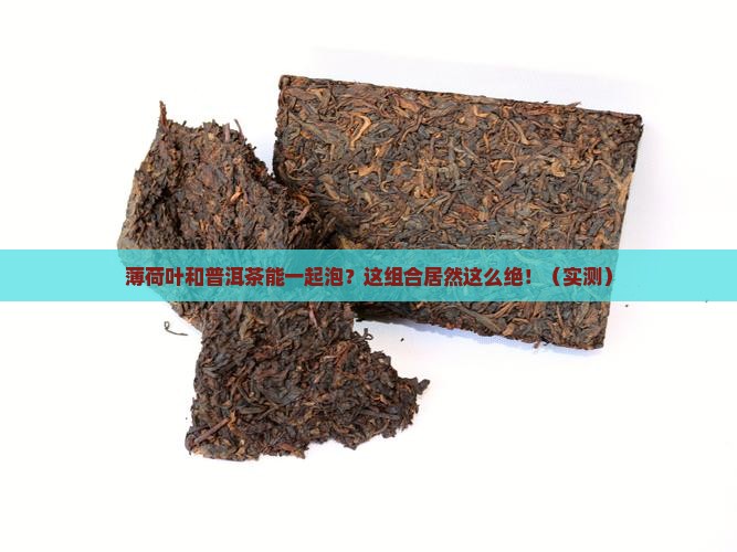 薄荷叶与普洱茶能混合泡茶