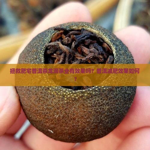 拯救肥宅普洱茶有效果吗