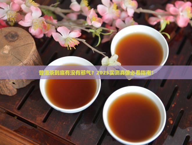 普洱茶是邪气吗