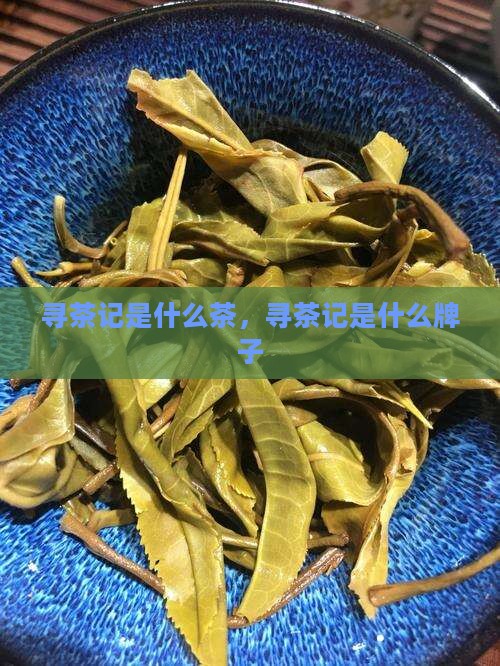寻茶记是什么茶
