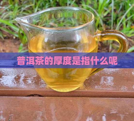 普洱茶的厚度是指什么呢